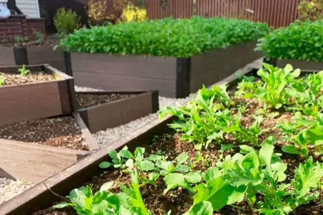 Доска грядочная ДПК Nautic prime 3D, 150х25х2950 Венге