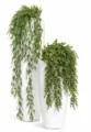 Кашпо TREEZ Effectory — Gloss — Высокий конус Design — Белый глянцевый лак